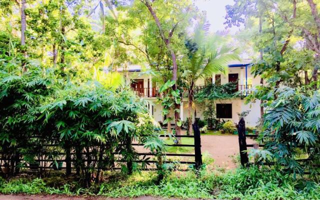 Sigiri Rainbow Lodge