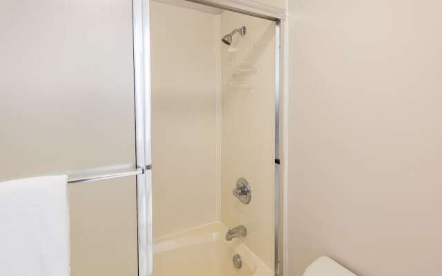 Treasure Island 1502