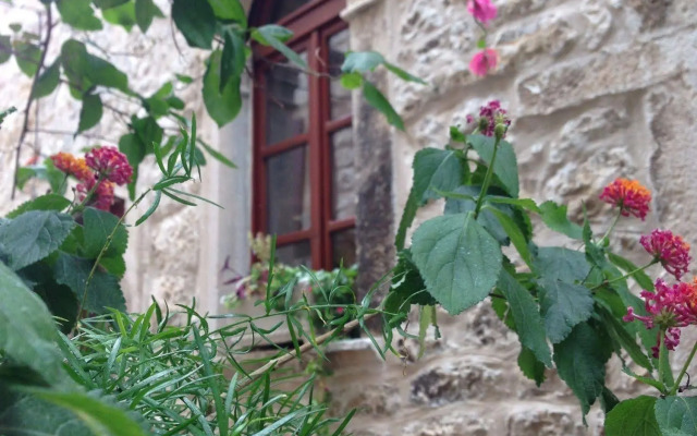 Hotel Villa Nora