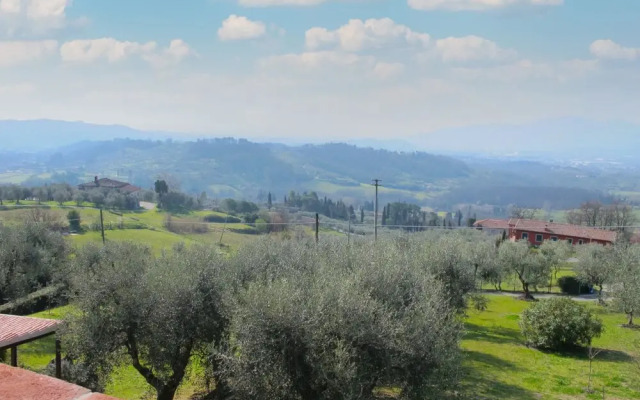 Mony Capannori in Capannori