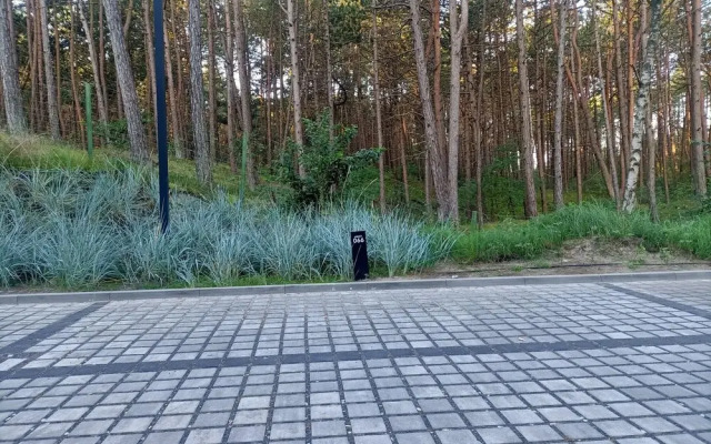 Shellter Apartment Rogowo by Renters