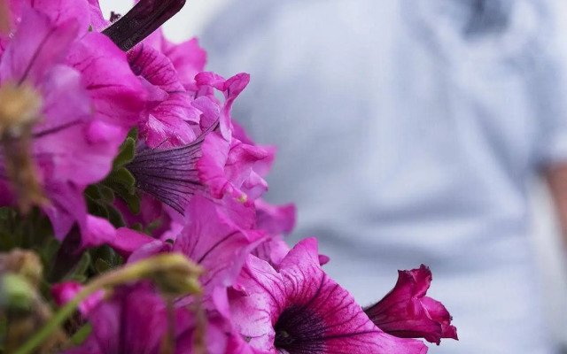 Rundhaug Gjestegård