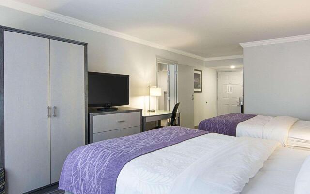 Comfort Inn Williamsburg Gateway