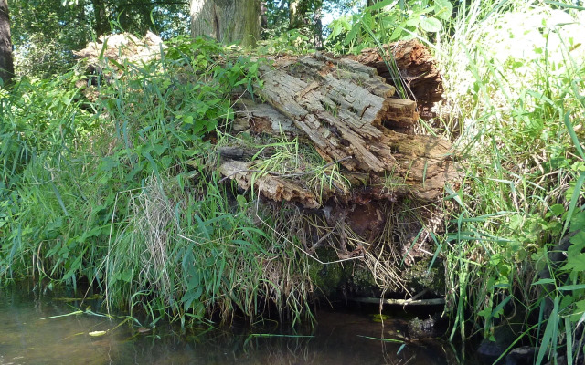 Spreewald - Pension Spreeaue