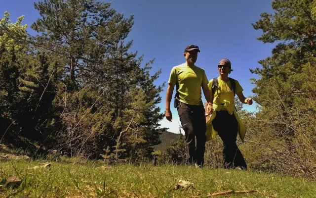 Apartamentos Uncastillo