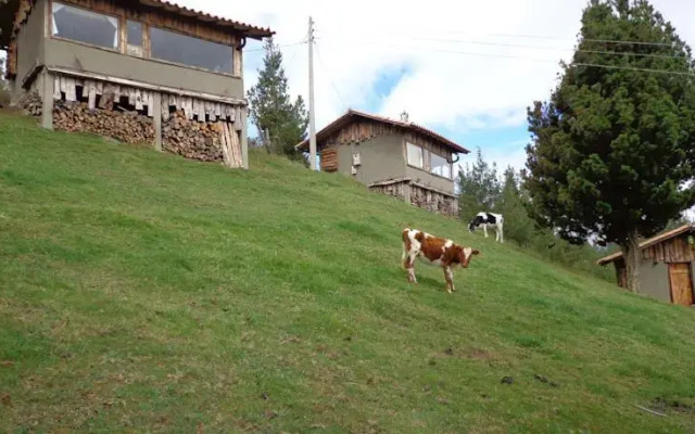 Hacienda El Paraiso