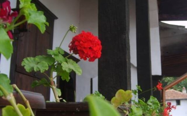 Guest House Konsulato