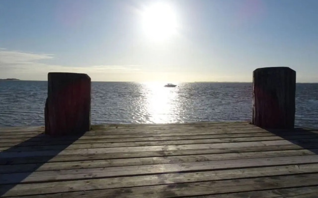 Holiday Home Gray Seal