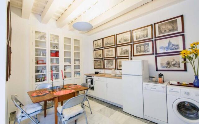 Duplex la Botanica