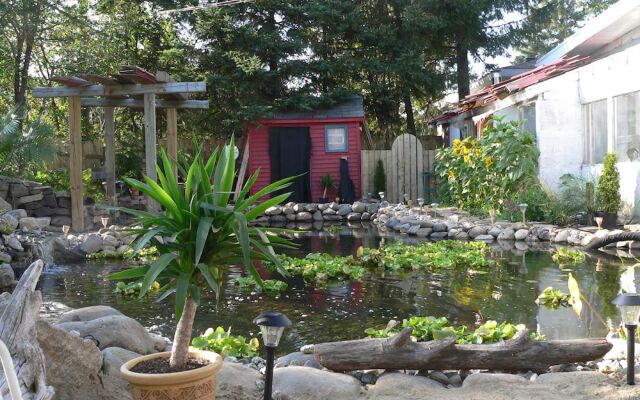 L'Oasis du Pirate B&B