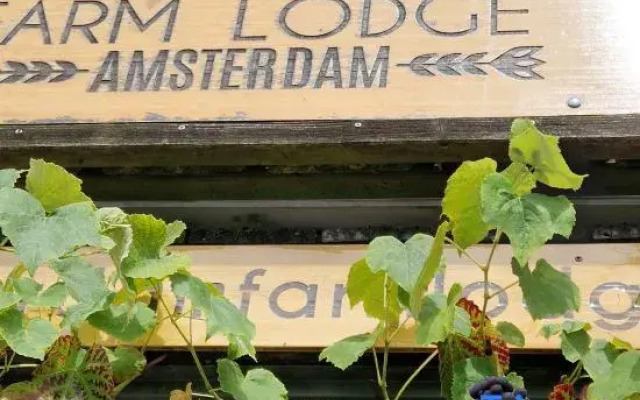 Amsterdam Farm Lodge: green area, great with kids