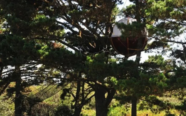 Les Nids du Parcabout