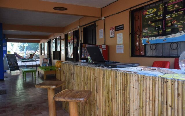 Casa Pura Vida Surf Hostel