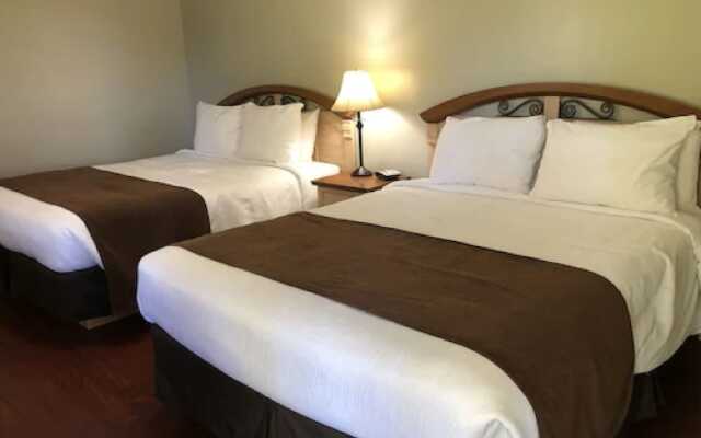 Adventure The Bruce Inn