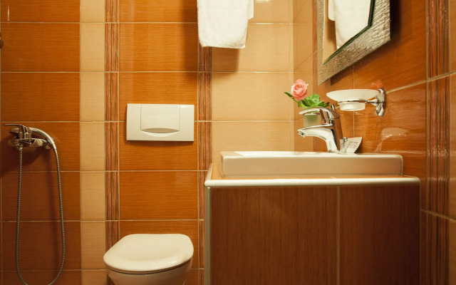 Meteoritis Hotel