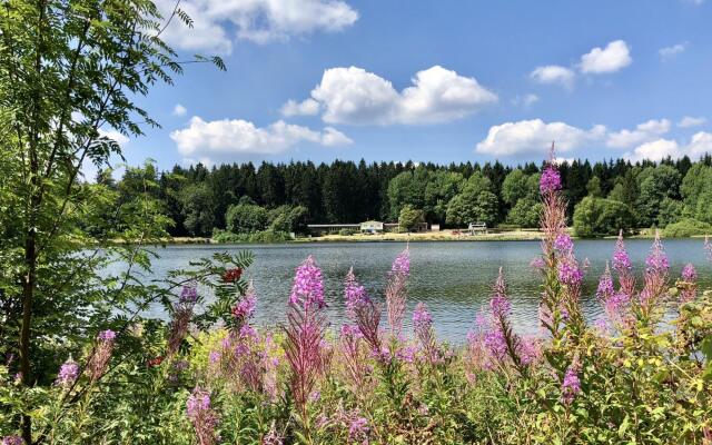Wooden chalet with oven, in Oberharz near a lake