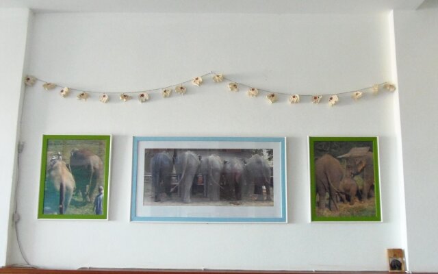 Elephants End Guesthouse