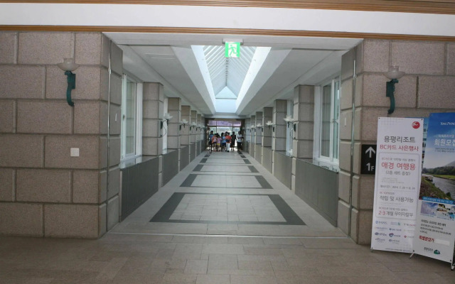 Mona Yongpyong Tower Condominium