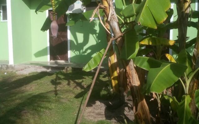 G's Place