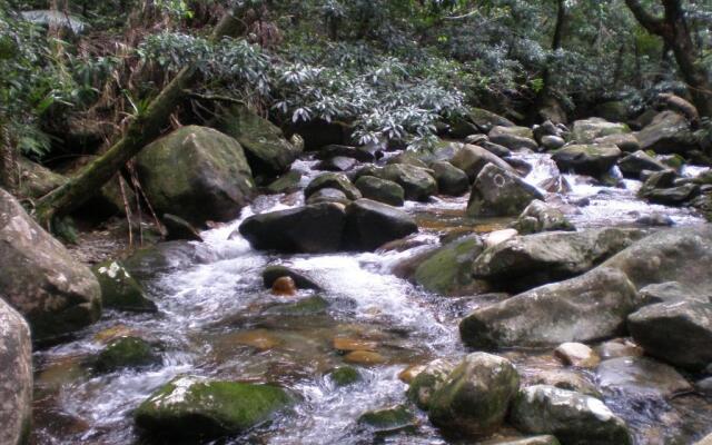 Daintree Village Hideaway