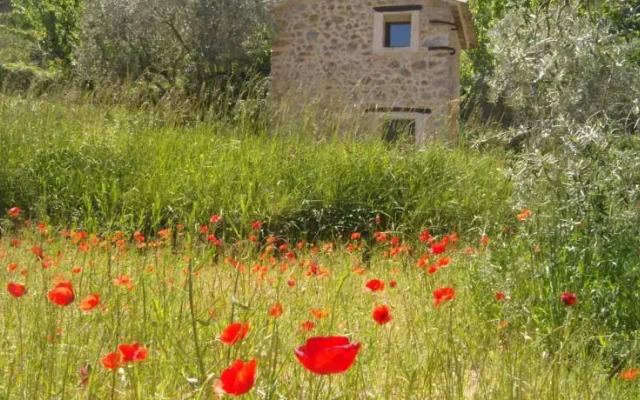 Gites Thierry Teyssier