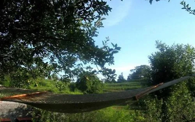Mountain Trail Resort