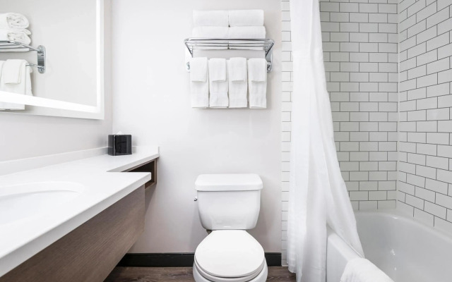 Comfort Suites Kingston Central