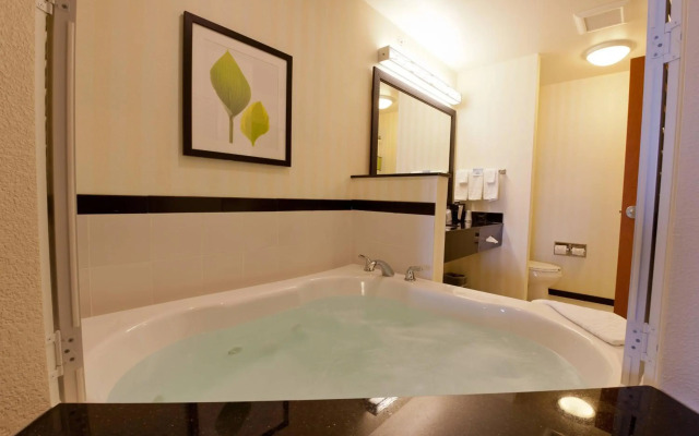 Fairfield Inn & Suites Flint Fenton