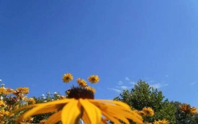 Park-Camping Lindau am See