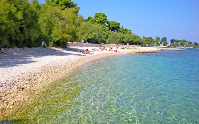 Apartment Silvana - economy apartments : A3 Supetar, Island Brac