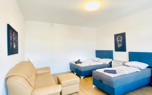 Spacious 4BR for 15 & 15 Min to Danube