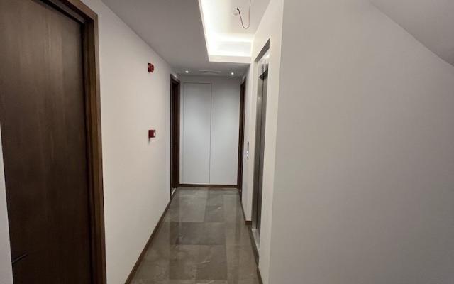 Palmera Hagia Sophia