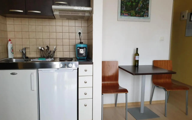 Apartment 131 Bešeňová