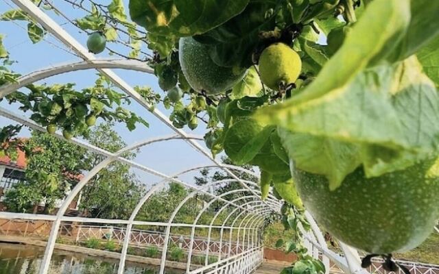 The Park Resort Mondulkiri