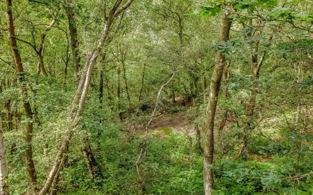 Quarry Walk Lodges