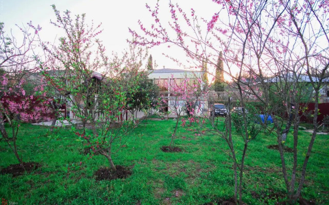 guest house
