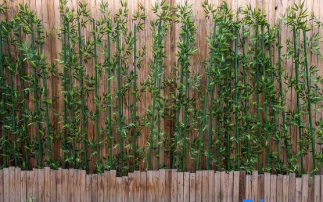 Yingduo International Hotel(Capital airport Xinguo exhibition store)