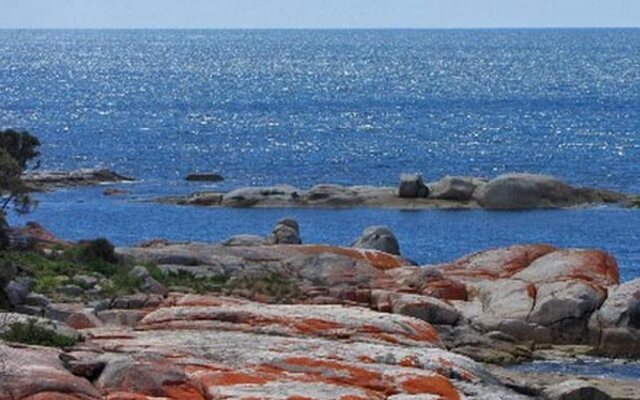 Suntrap Cove Bicheno