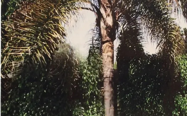 Lovely Furnished Apartment -bnew Maarifghandi