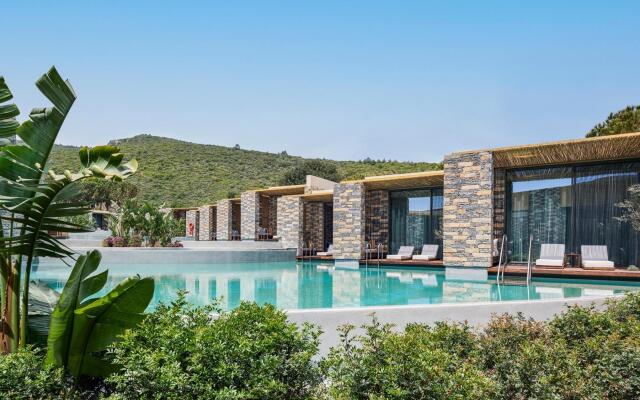 Voyage Torba Private