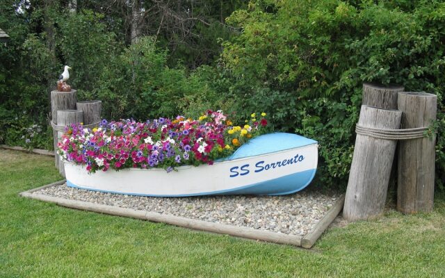Shuswap Lake Motel & Resort