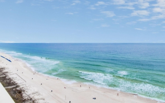 Calypso By BlueSwell