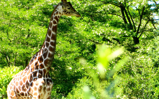 Capitol Hill Cozy Condos