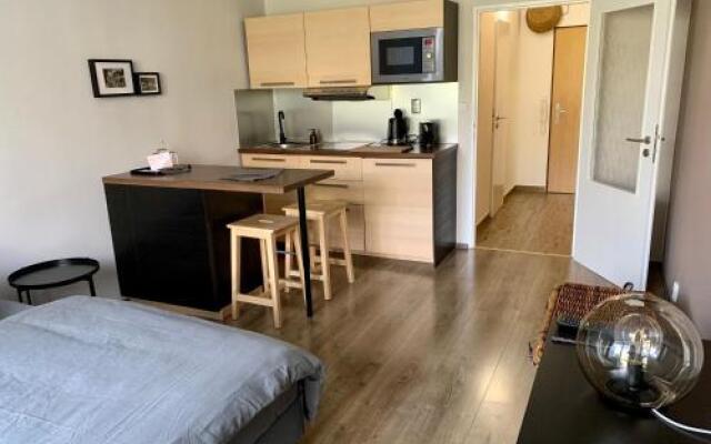 Apartman Luhacovice