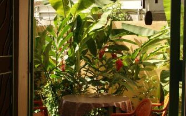 The Seaside Garden Guesthouse