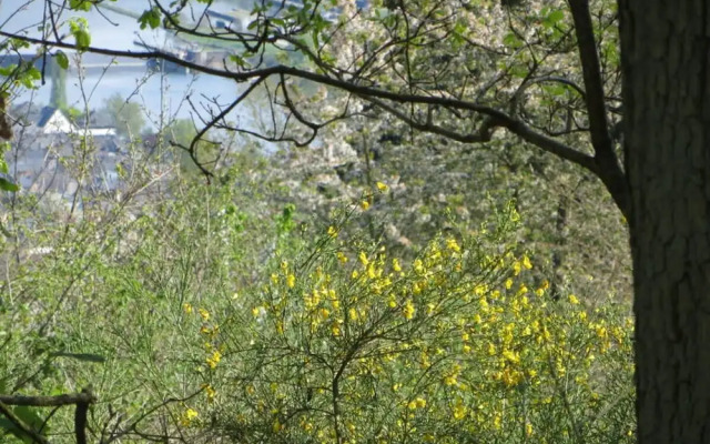 Foahrgaass 7a Modern Retreat