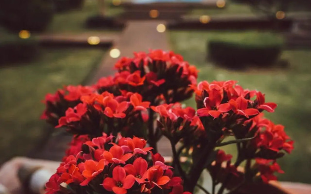 Villa Paquita - Delta de l'Ebre