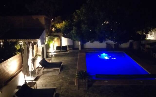 El Violin Experiencia