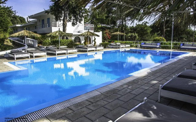 Отель Trees Art Boutique