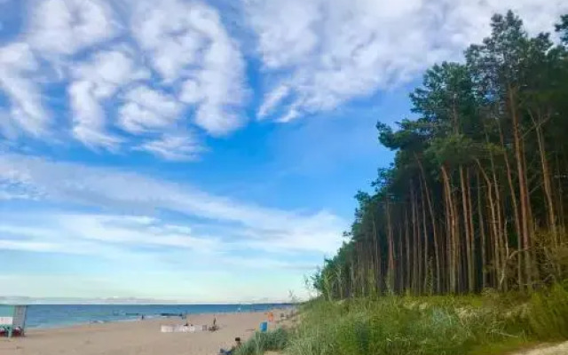 Straszny Dwor - Haunted Manor